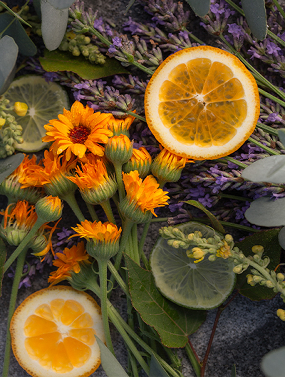 Duftende Blumen und Limettenscheiben